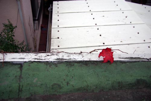 f0149442_1112238.jpg