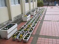 e0067043_1091877.jpg