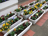 e0067043_109338.jpg