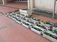 e0067043_1094173.jpg