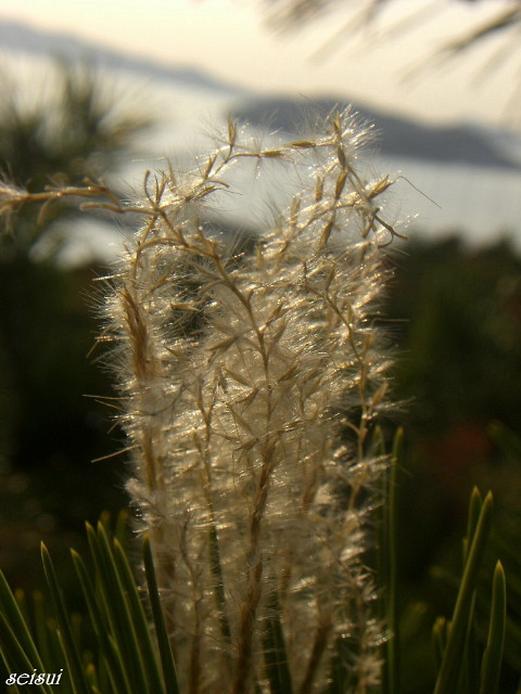 c0126344_16172858.jpg