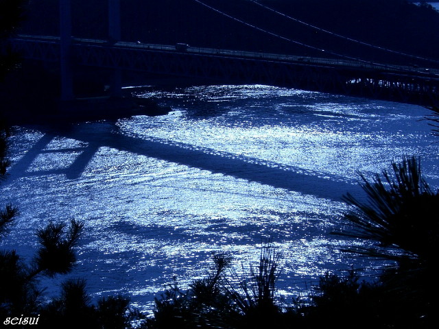 c0126344_16315920.jpg