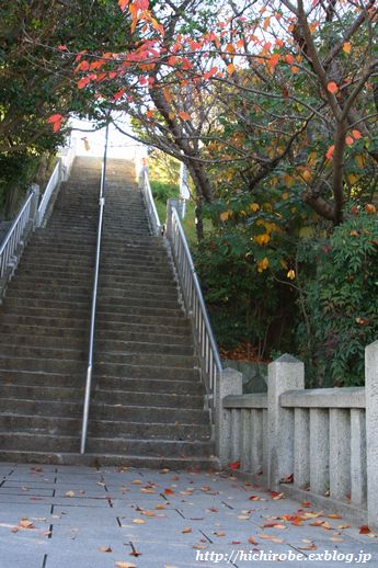f0039446_153967.jpg