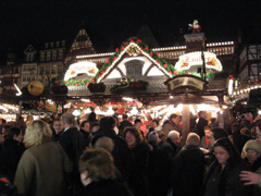 e0005548_563323.jpg
