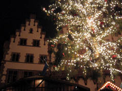 e0005548_5675.jpg