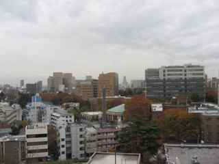 d0081650_623816.jpg