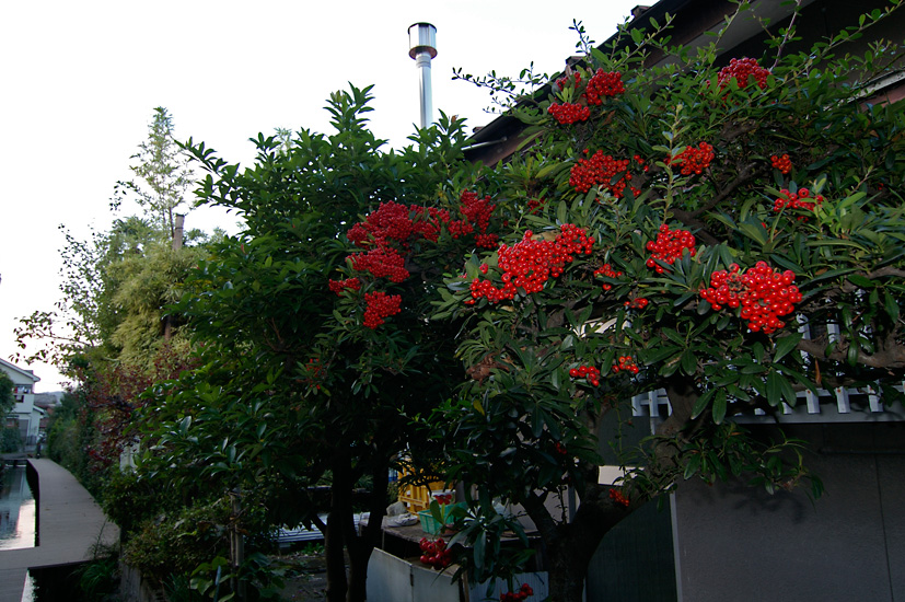 d0100156_2134360.jpg