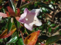 c0108460_16505578.jpg