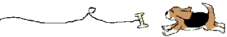 a0091666_1794668.gif