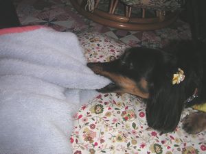 c0151866_92881.jpg