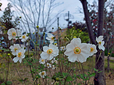 d0013068_21244911.jpg