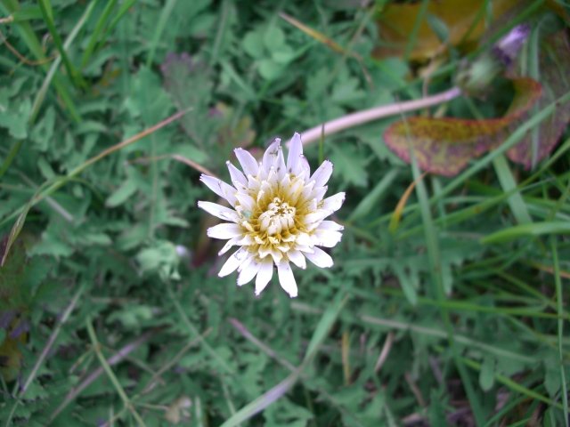 f0137275_645296.jpg