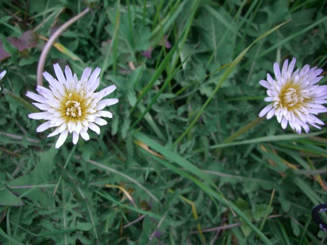 f0137275_651141.jpg