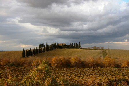 a0050277_5111187.jpg