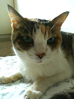 f0054677_8271514.jpg
