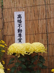 c0105785_915853.jpg