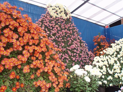c0105785_9185833.jpg