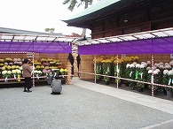 c0105785_9321743.jpg
