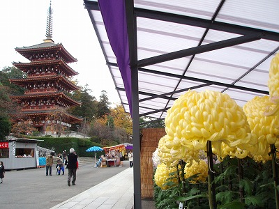 c0105785_9474448.jpg