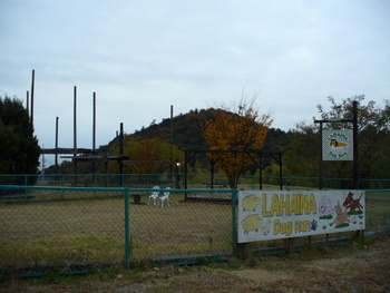 e0026586_18143056.jpg