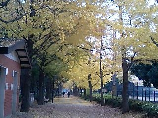 c0123890_21264073.jpg