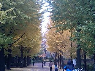 c0123890_2126778.jpg