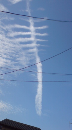 e0122495_16341158.jpg