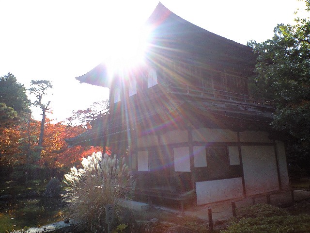 f0042295_20491195.jpg