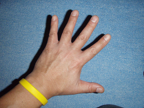 b0074601_12234733.jpg
