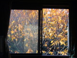 b0114403_19204241.jpg