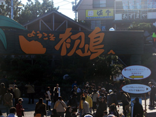 f0080105_1538324.jpg