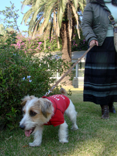 f0080105_15501769.jpg
