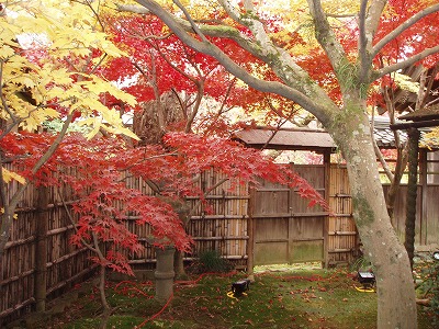 e0121110_21411611.jpg