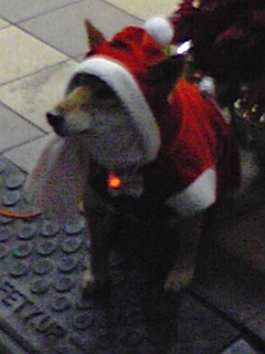 f0049813_211585.jpg