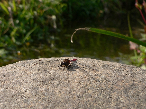 e0002314_16425899.jpg