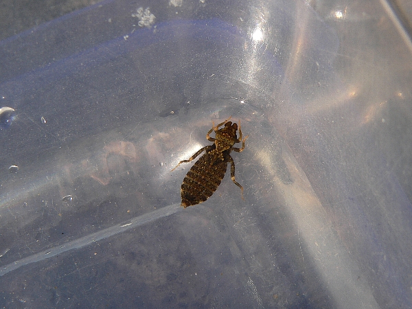 e0002314_16533064.jpg