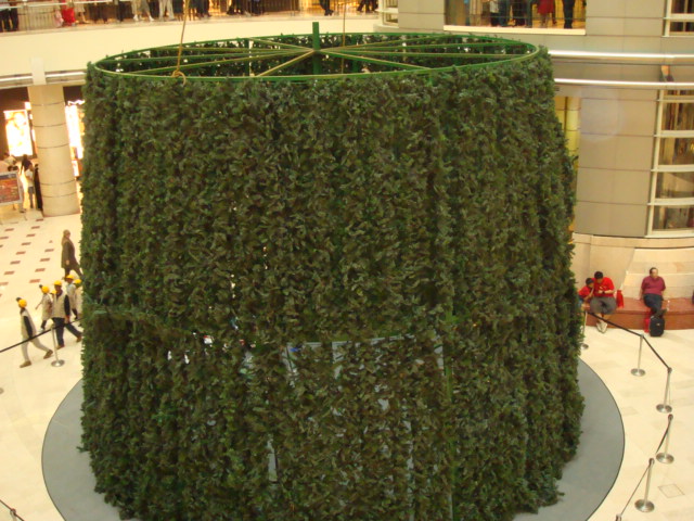 c0145615_11415889.jpg