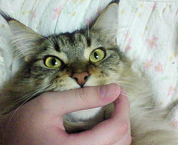 c0145016_21171999.jpg