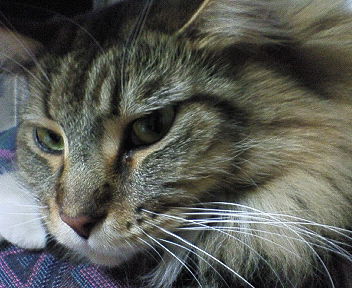 c0145016_2133122.jpg