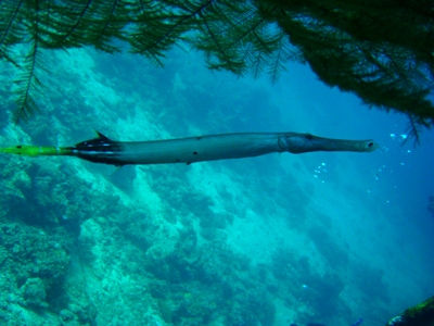 e0121018_17362699.jpg