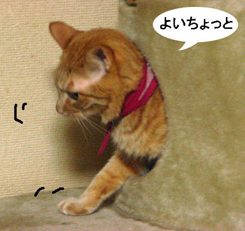 d0081025_20353976.jpg