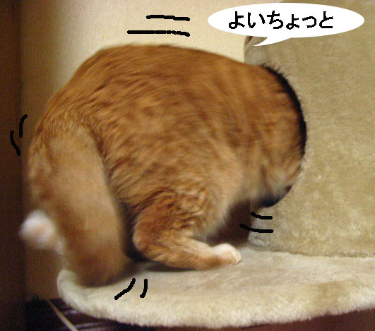 d0081025_2036051.jpg