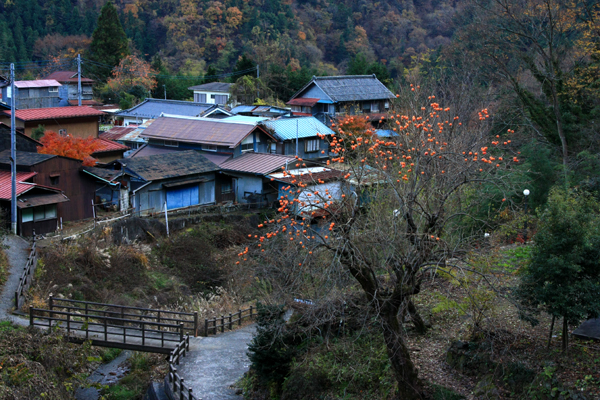 f0081726_22364494.jpg