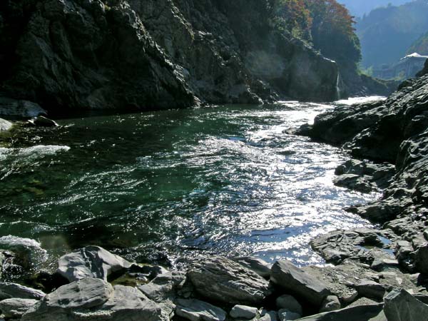 d0029829_8434929.jpg