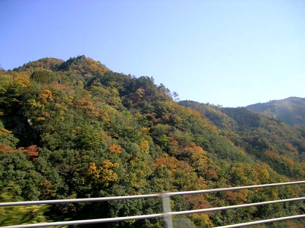 d0029829_871387.jpg