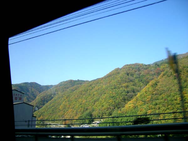 d0029829_87374.jpg