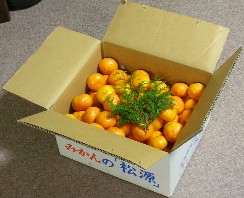 f0150629_2311266.jpg