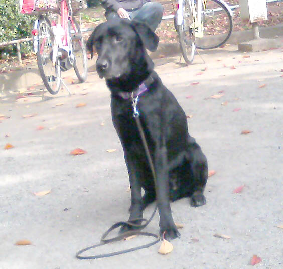 c0117831_21382638.jpg