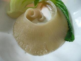 c0150632_21492631.jpg
