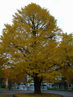 c0153732_2254229.jpg